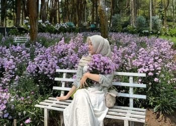 Taman bunga.