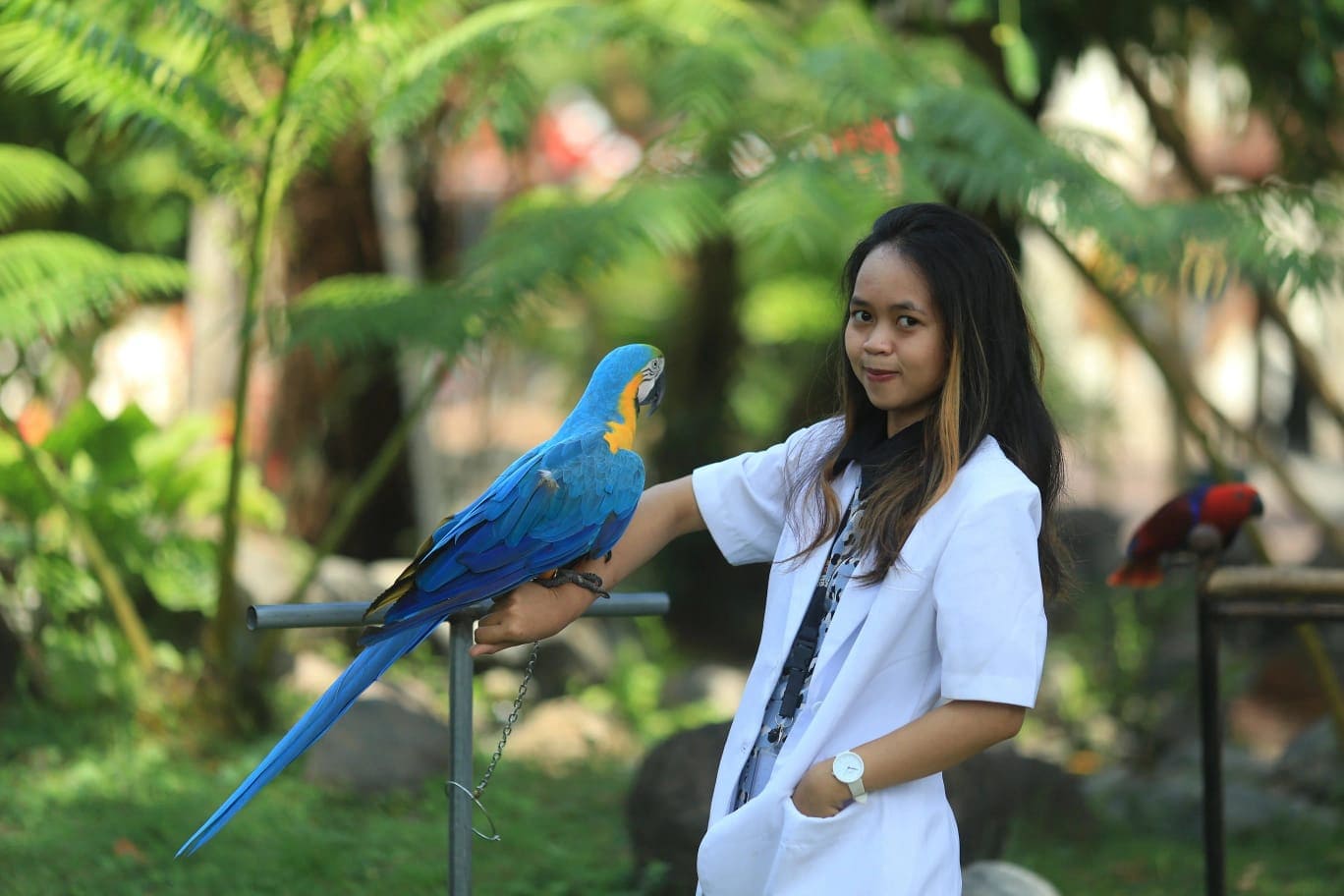 Wisata Edukasi di Jember Mini Zoo: Simak Daya Tarik, Harga Tiket, dan Jam Operasional Terbaru 2025 2 Wisata Jember Mini Zoo.