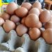Harga Telur Melambung di Tuban Jelang Natal dan Tahun Baru 2025, Pedagang: Naik Hampir Setiap Hari 8 Harga telur.