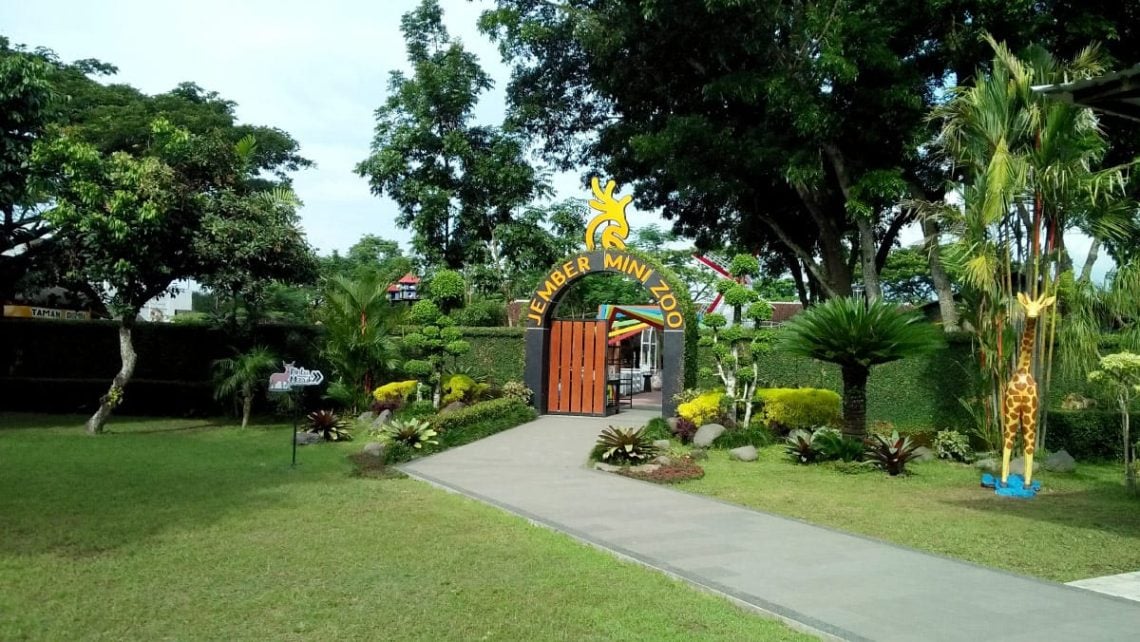 Wisata Edukasi di Jember Mini Zoo: Simak Daya Tarik, Harga Tiket, dan Jam Operasional Terbaru 2025 1 Jember Mini Zoo.