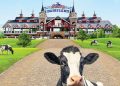 Cimory Dairyland.
