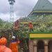 Angin Puting Beliung Terjang Dua Desa di Tuban: Pohon, Rumah, dan Tempat Ibadah Rusak 8 Angin puting beliung.