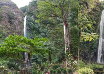 Air Terjun Tancak Jember