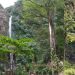 Pesona Air Terjun Tancak Jember, Rekomendasi Wisata Alam Untuk Liburan Awal Tahun 10 Air Terjun Tancak Jember