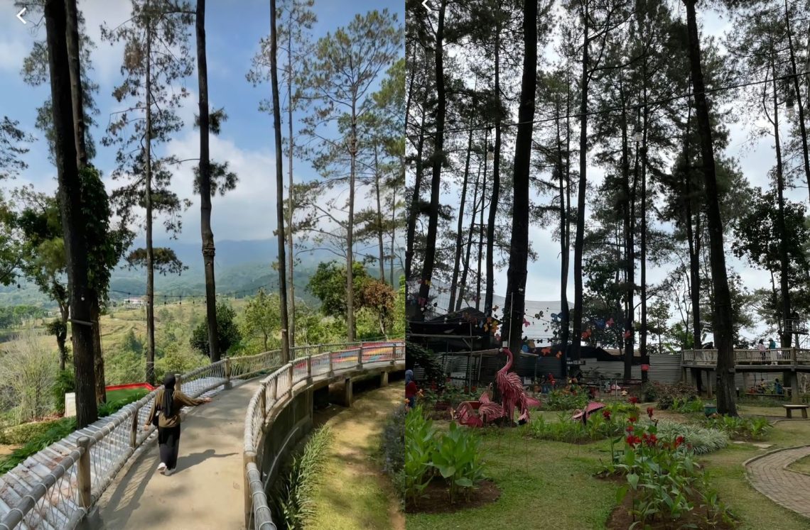 Tanaria Park Prigen: Wisata Hits di Tengah Hutan Pinus Berhawa Sejuk 1 Tanaria Park Prigen