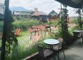 SweetHeart Cafe & Eatery.