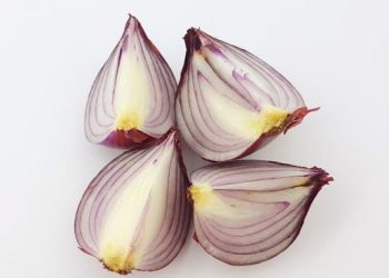 bawang merah