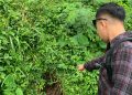 penemuan bayi laki-laki
