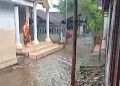 Kotoran sapi.