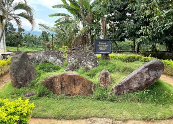 Jember