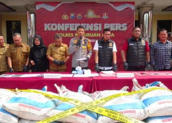 Pupuk subsidi.