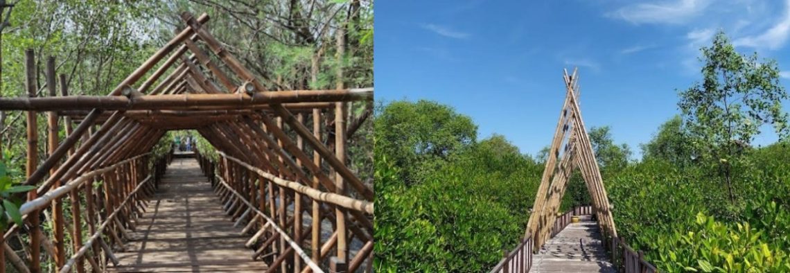 Wisata Hutan Mangrove Wonorejo