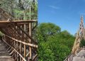 Wisata Hutan Mangrove Wonorejo