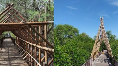 Wisata Hutan Mangrove Wonorejo