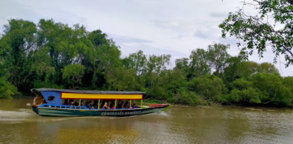 hutan mangrove 1