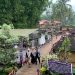 Wisata Kuliner Jember