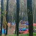 Rekomendasi Tempat Camping di Mojokerto untuk Libur Akhir Tahun 8 Wisata Kedung Klurak Mojokerto