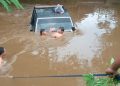 pickup berenang