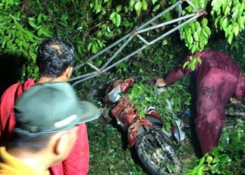 Pohon Tumbang