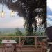 Spot Liburan Jelang Imlek 2025, Berikut 5 Cafe di Jember yang Mewah dan Elegan untuk Anak Muda 13 Cafe di Jember.
