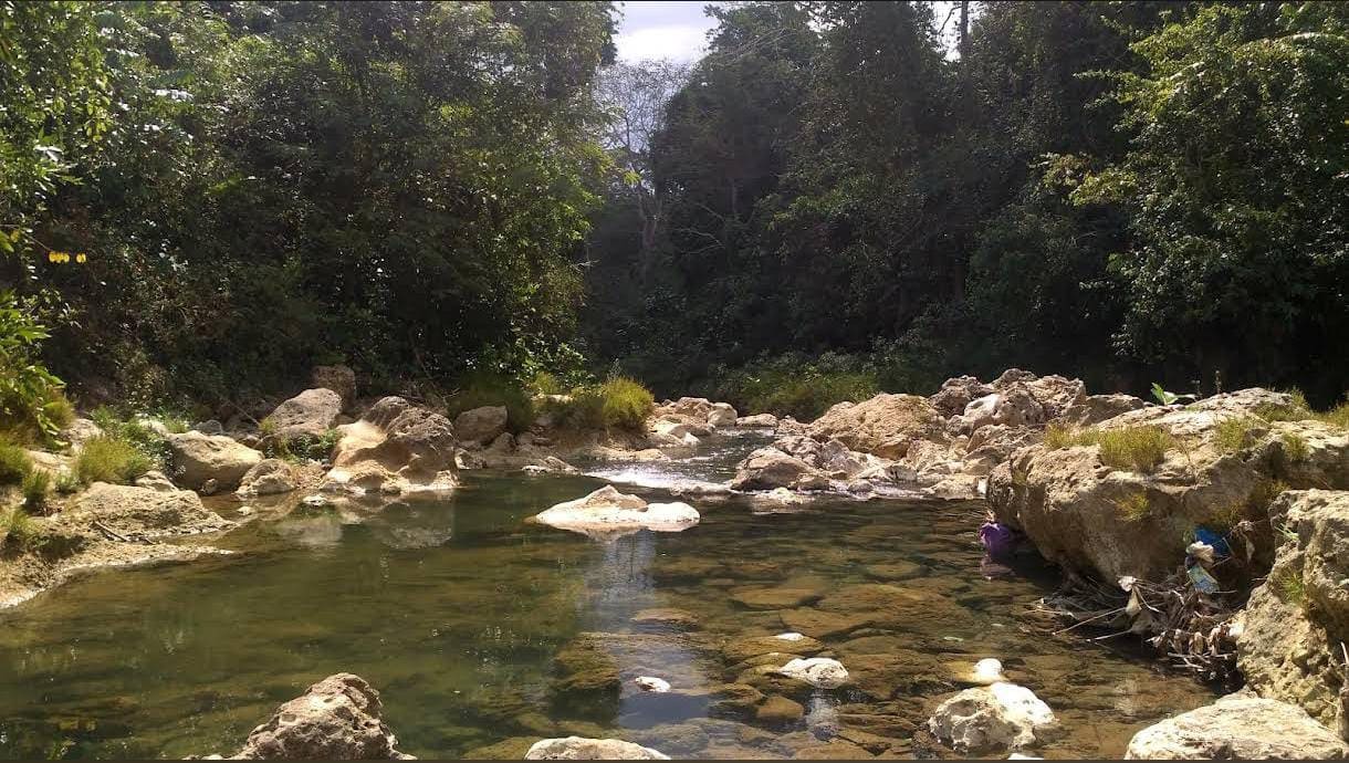 Piknik saat Weekend di Sumber Mata Air Krawak, Hidden Gem di Tuban yang Sejuk dan Segar 2 Sumber Mata Air Krawak di Tuban.