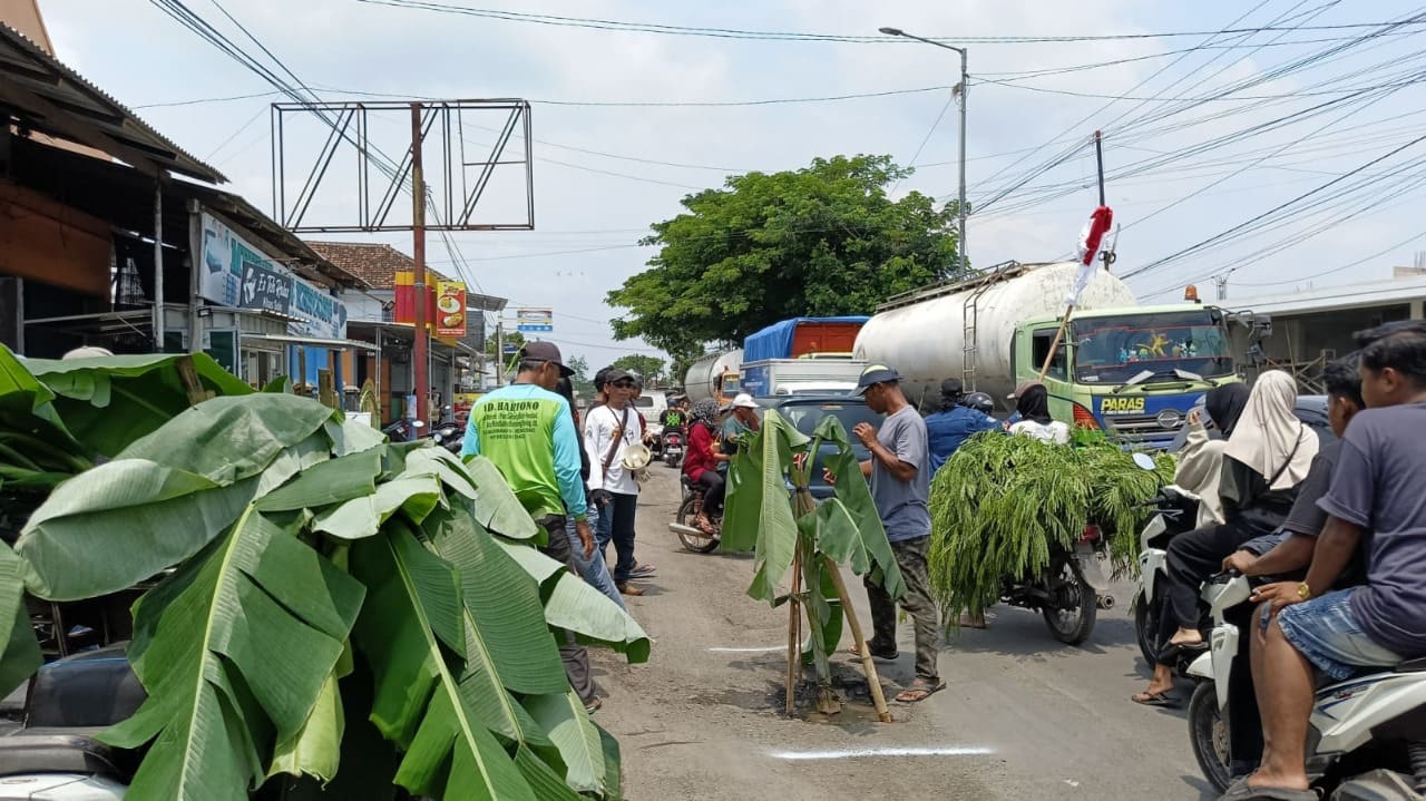 Protes jalan rusak di Jember.