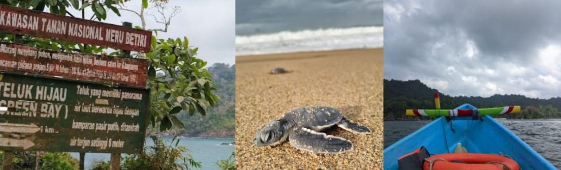 Keajaiban Taman Nasional Meru Betiri: Surga Tersembunyi di Jember Cocok untuk Senang-Senang di Awal Tahun 2025 1 Taman Nasional Meru Betiri.