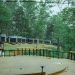 Staycation 2025 di Bobocabin Coban Rondo Malang: Wisatawan Glamping Modern dengan View Super Indah! 10 Bobocabin Coban Rondo.