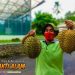 Bhakti Alam Pasuruan, Destinasi Wisata Alam dan Edukasi di Kaki Gunung Bromo 8 Bhakti Alam Pasuruan