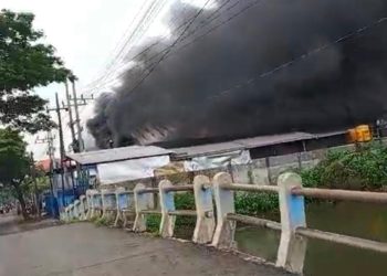 Pabrik pemotongan ayam.