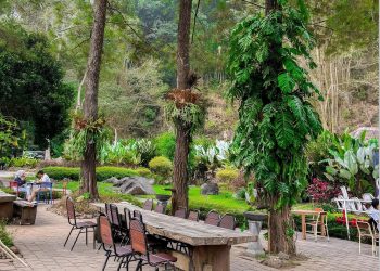 Cafe Dancok Sebaluh.