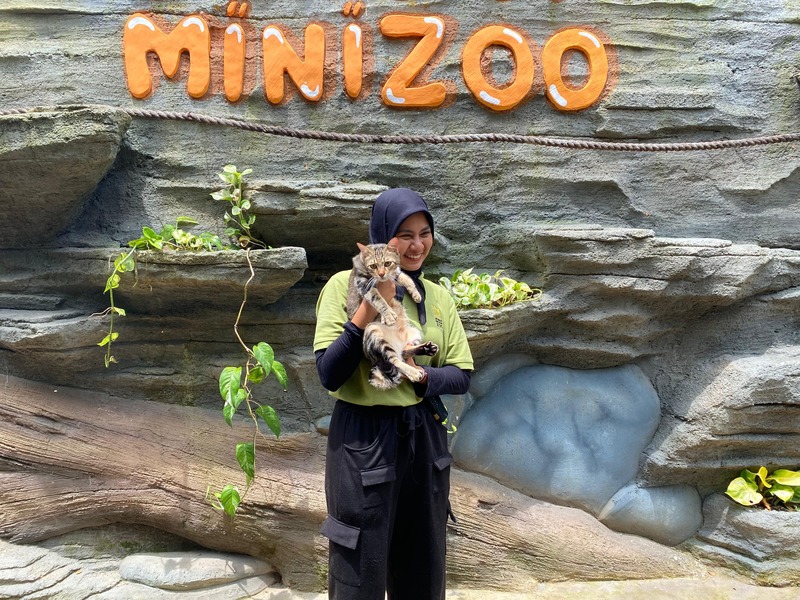 Cerita di Balik Viralnya Kucing Piuw, Aksi Gemas Kucing Domestik di Jember Mini Zoo 1 Jember Mini Zoo.
