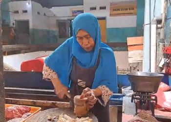 Kaki Sapi