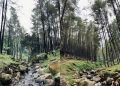 Wisata Klurak Eco Park