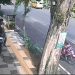 curanmor Tuban