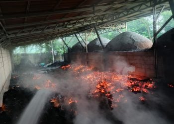 Pabrik Arang
