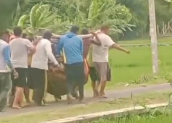 Viral! Video Pemakaman Sapi Terjangkit PMK di Tuban, Pemilik Ternak Resah