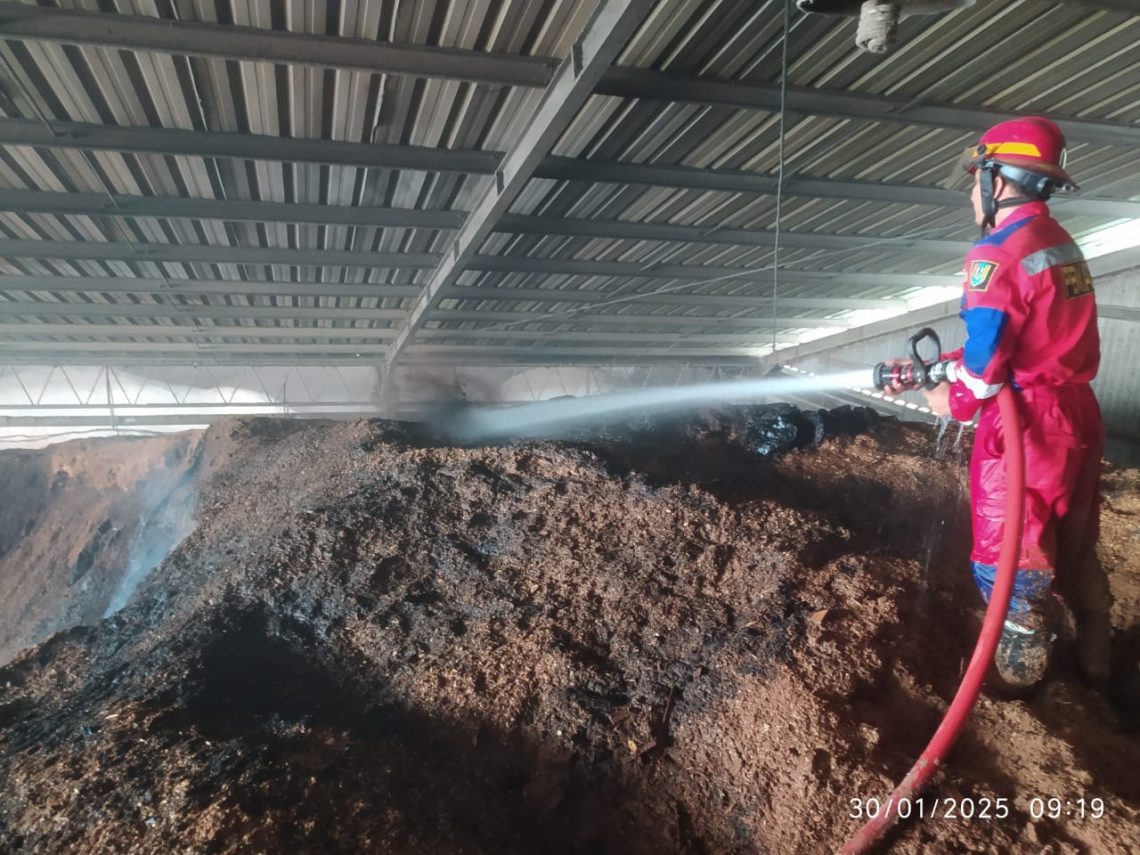 Gudang Serbuk Kayu untuk Jubong di Tuban Terbakar 1 Gudang Serbuk Kayu