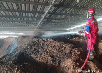 Gudang Serbuk Kayu