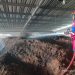 Gudang Serbuk Kayu untuk Jubong di Tuban Terbakar 8 Gudang Serbuk Kayu