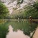 Sumber Jiput Kota Kediri, Wisata Keluarga Alami dan Mudah Dijangkau 9 Sumber Jiput (