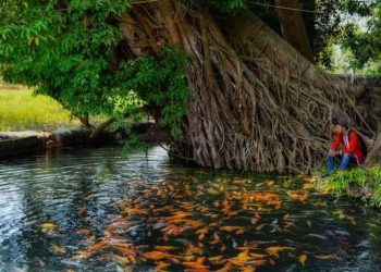 Wisata Sumber Dhuwur Mojokerto