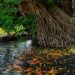 Wisata Sumber Dhuwur Mojokerto