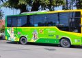Armada Trans Jatim