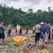 3 Hari Pencarian, Jasad Bocah Terseret di Selokan Ditemukan di Sungai Bedadung Jember 8 Terseret di selokan.