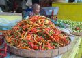 Harga cabai.