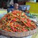 Harga cabai.