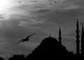 Niat Puasa Bulan Ramadan