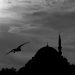 Niat Puasa Ramadan, Simak Lafal, Keutamaan dan Waktu Dianjurkan 8 Niat Puasa Bulan Ramadan