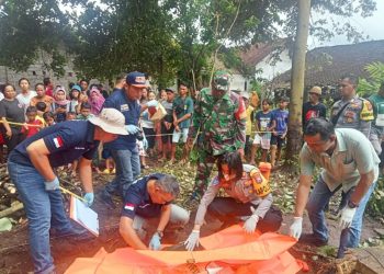 Pekerja Bangun Fondasi, Warga Jember Geger Temukan Jasad Bayi Terkubur di Lahan Terbengkalai